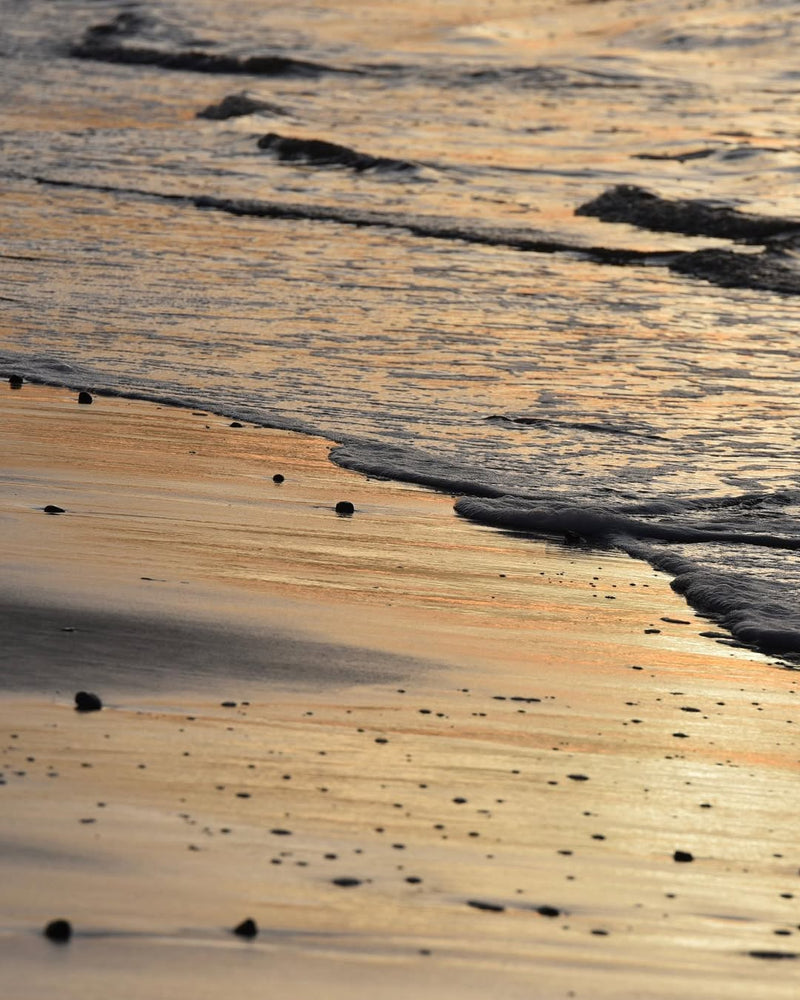Baltic Sea shore at sunrise
