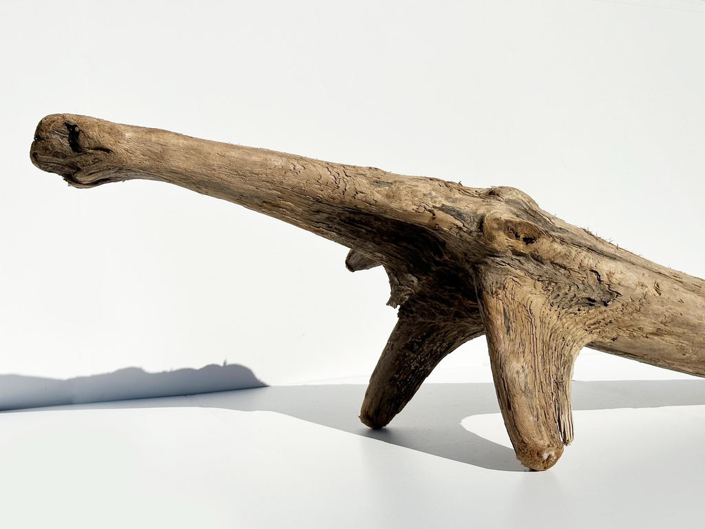 Baltic Coastal Driftwood Sculpture — 118 cm Garden & Terrarium Accent