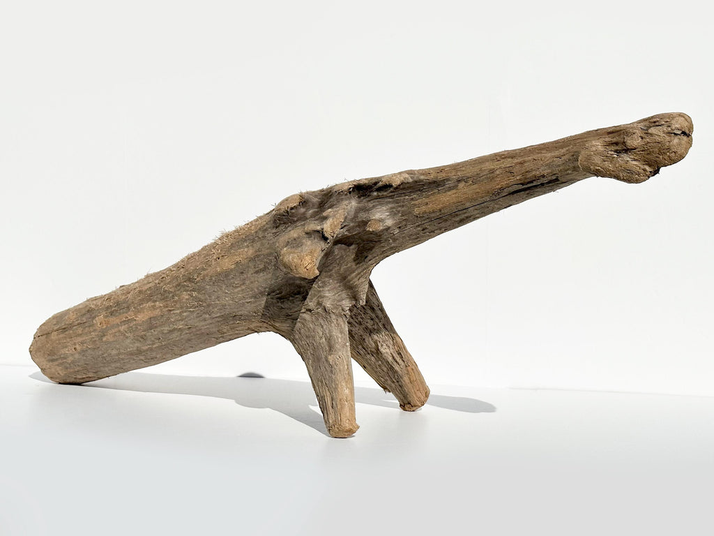 Baltic Coastal Driftwood Sculpture — 118 cm Garden & Terrarium Accent