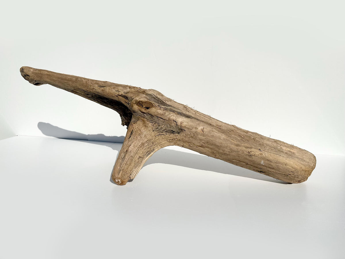 Baltic Coastal Driftwood Sculpture — 118 cm Garden & Terrarium Accent