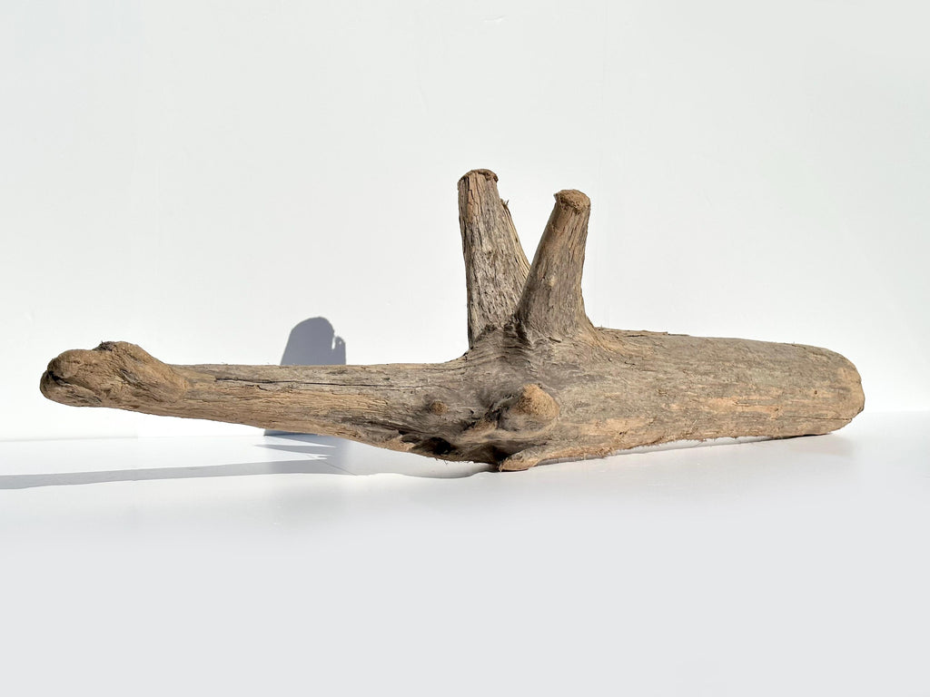 Baltic Coastal Driftwood Sculpture — 118 cm Garden & Terrarium Accent