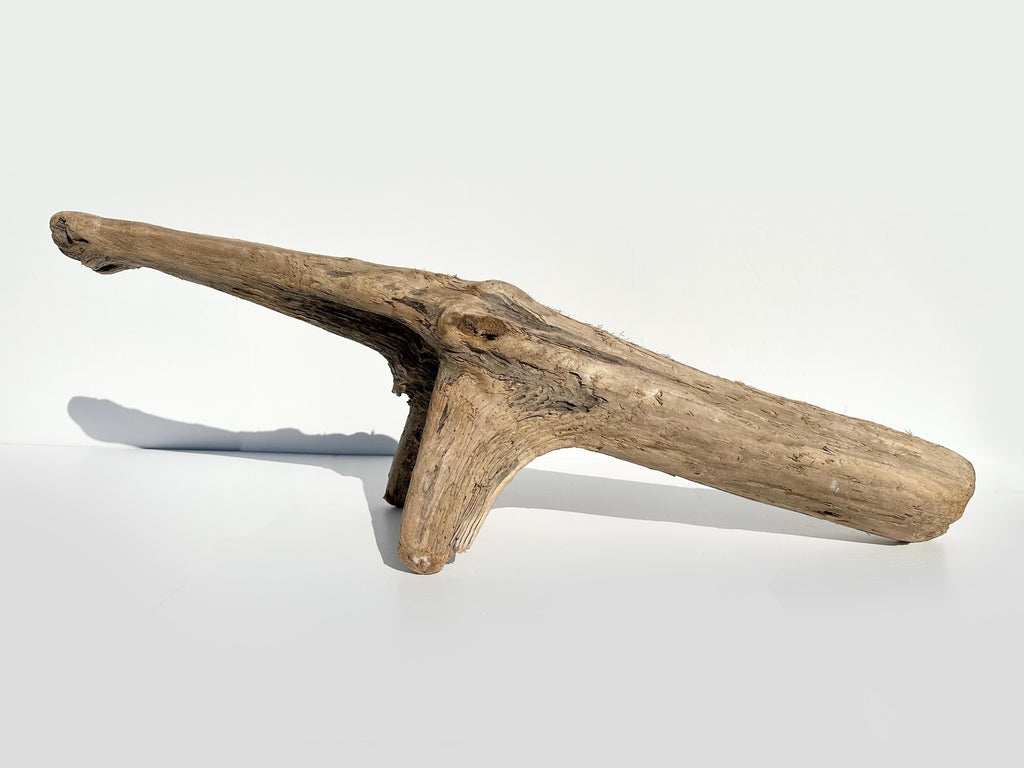 Baltic Coastal Driftwood Sculpture — 118 cm Garden & Terrarium Accent