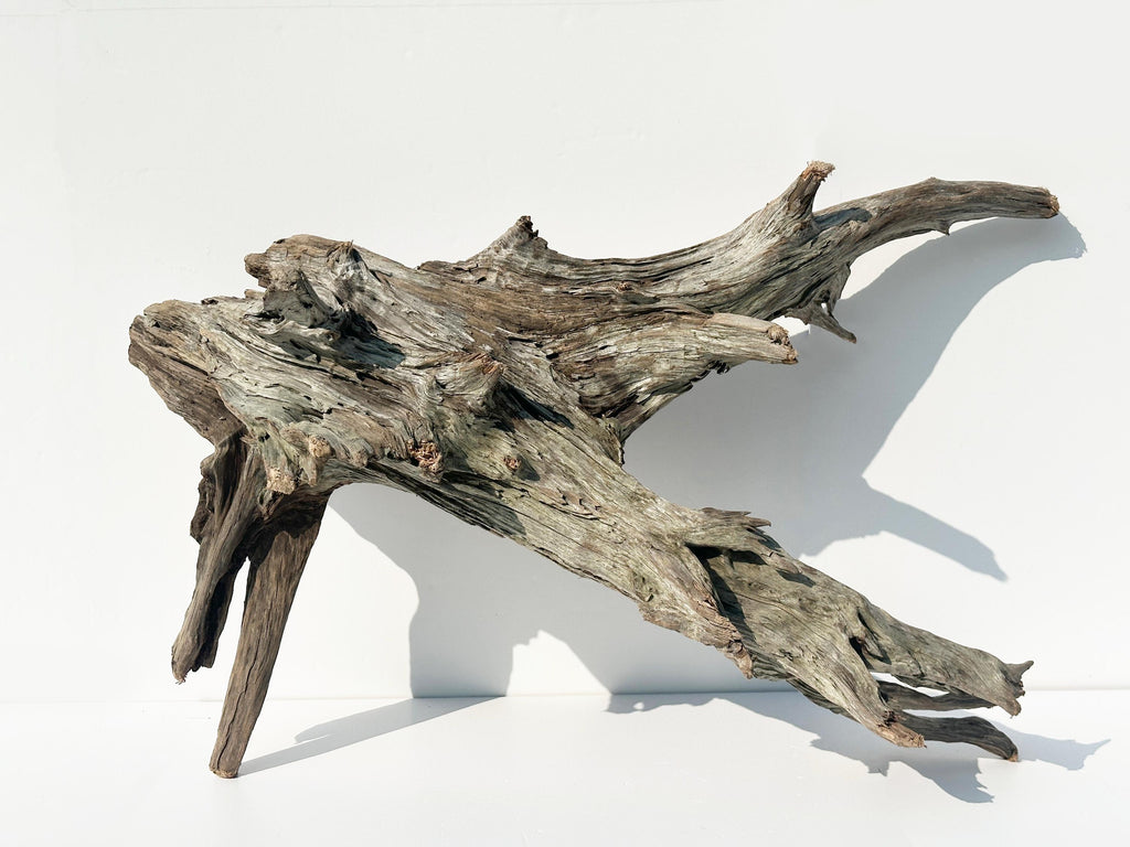 Baltic Driftwood Branch Sculpture — 84 cm Aquarium Ghostwood