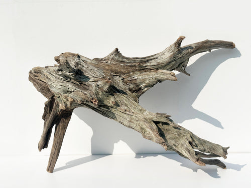 Baltic Driftwood Branch Sculpture — 84 cm Aquarium Ghostwood