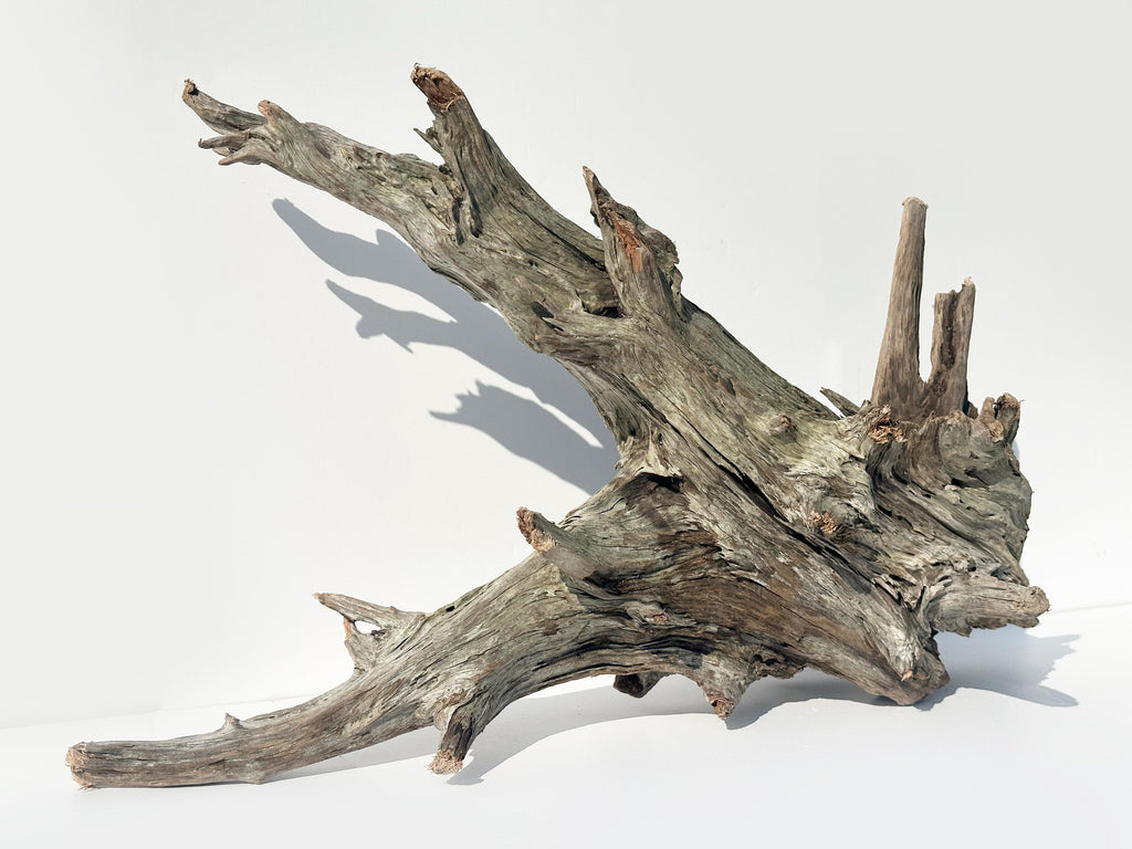 Baltic Driftwood Branch Sculpture — 84 cm Aquarium Ghostwood