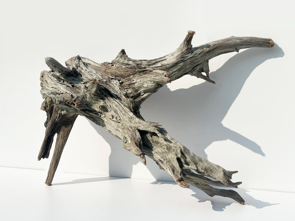 Baltic Driftwood Branch Sculpture — 84 cm Aquarium Ghostwood