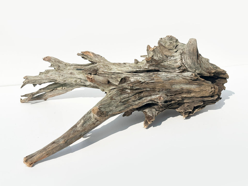 Baltic Driftwood Branch Sculpture — 84 cm Aquarium Ghostwood