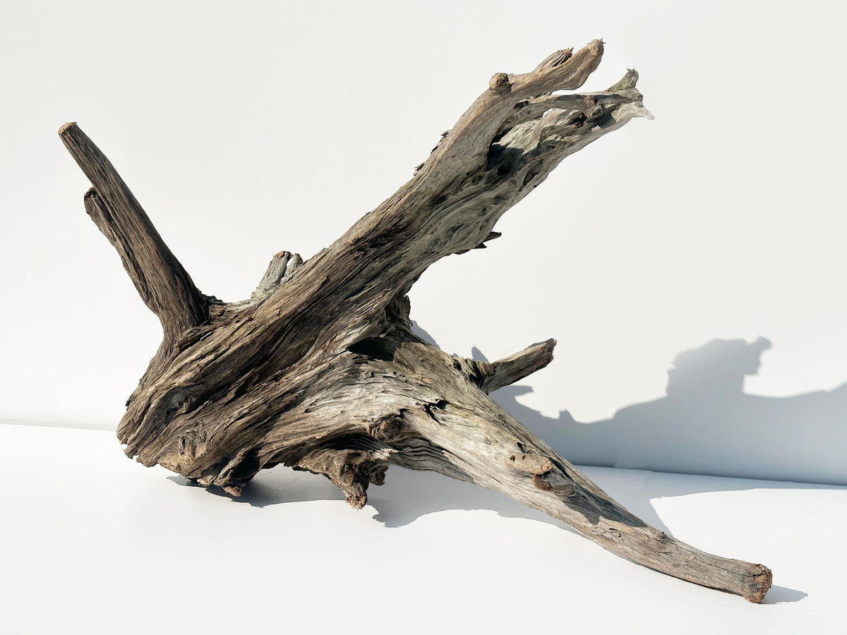 Baltic Driftwood Branch Sculpture — 84 cm Aquarium Ghostwood