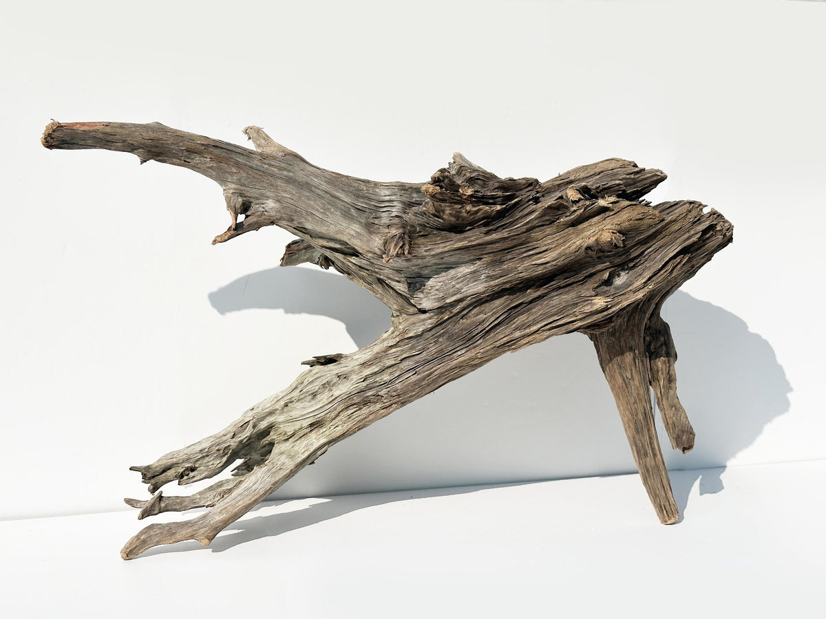 Baltic Driftwood Branch Sculpture — 84 cm Aquarium Ghostwood