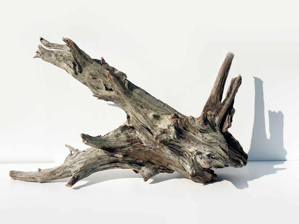 Baltic Driftwood Branch Sculpture — 84 cm Aquarium Ghostwood