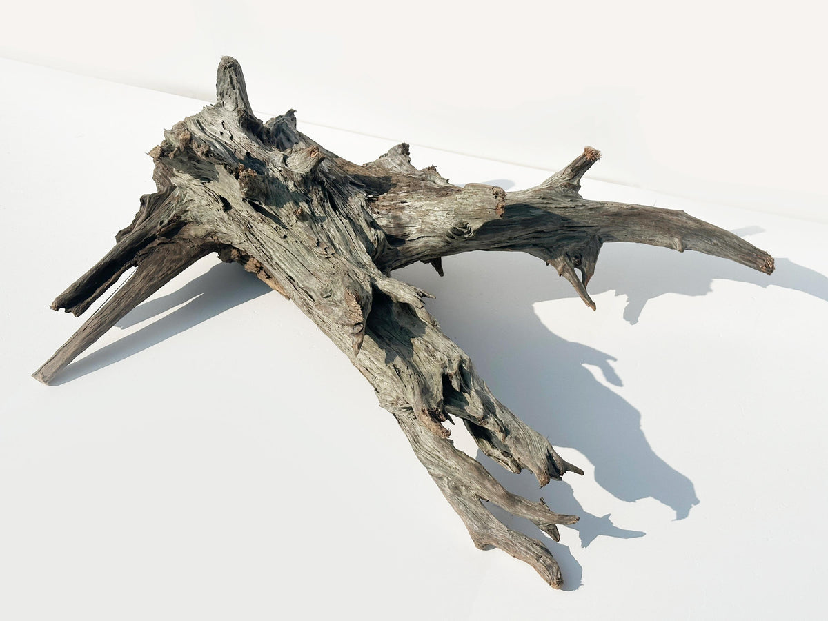 Baltic Driftwood Branch Sculpture — 84 cm Aquarium Ghostwood