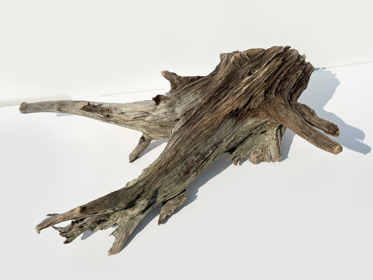 Baltic Driftwood Branch Sculpture — 84 cm Aquarium Ghostwood