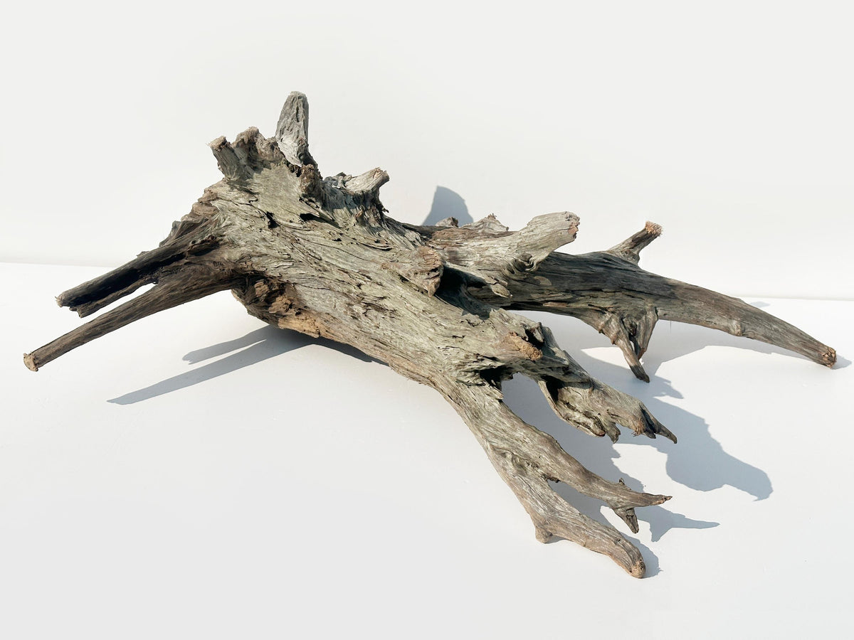 Baltic Driftwood Branch Sculpture — 84 cm Aquarium Ghostwood