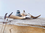 Baltic Mini Zen Garden – Driftwood & Stones Set