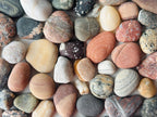 Baltic Collectible Stones – Small Viewing Set