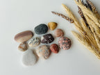 Baltic Collectible Stones – Small Viewing Set