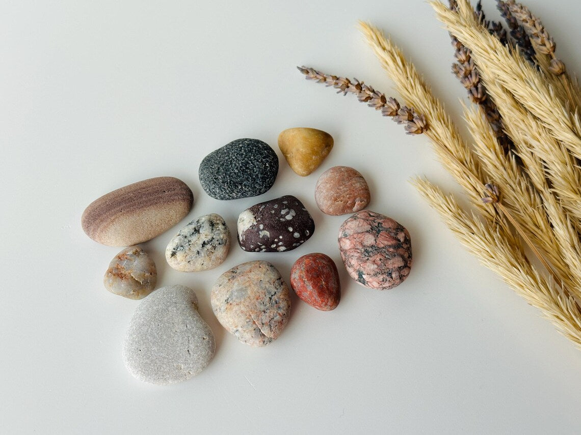 Baltic Collectible Stones – Small Viewing Set