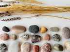 Baltic Collectible Stones – Small Viewing Set