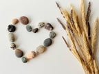 Baltic Collectible Stones – Small Viewing Set