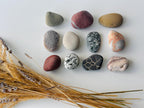 Baltic Suiseki Viewing Stones – Raw Set