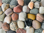 Baltic Suiseki Viewing Stones – Raw Set