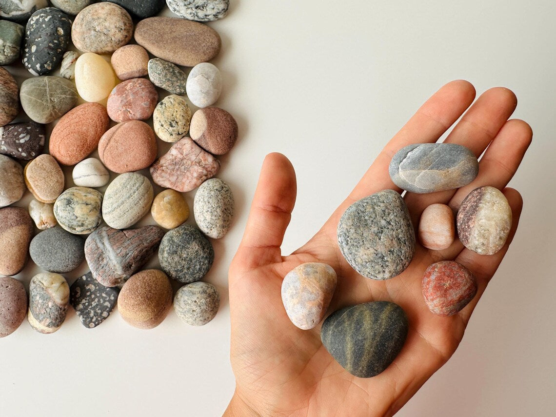 Baltic Collectible Stones – Small Viewing Set