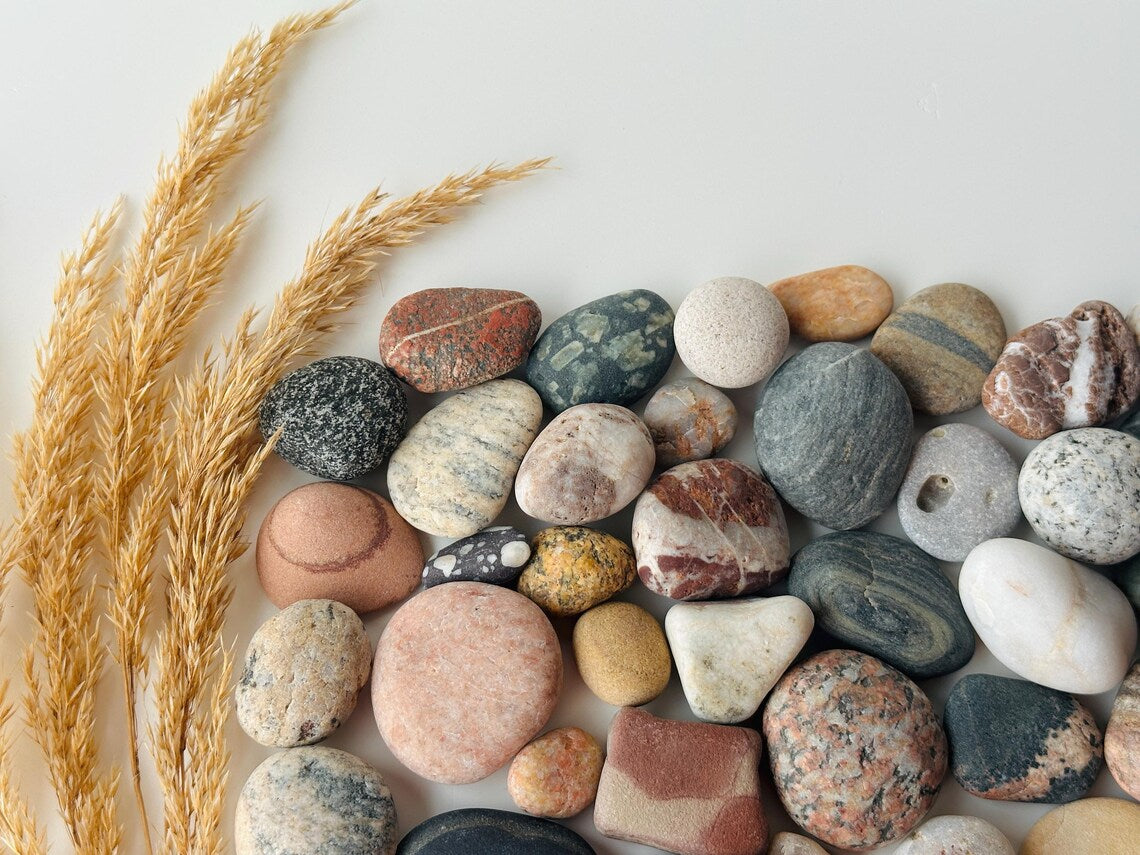 Baltic Collectible Stones – Small Viewing Set