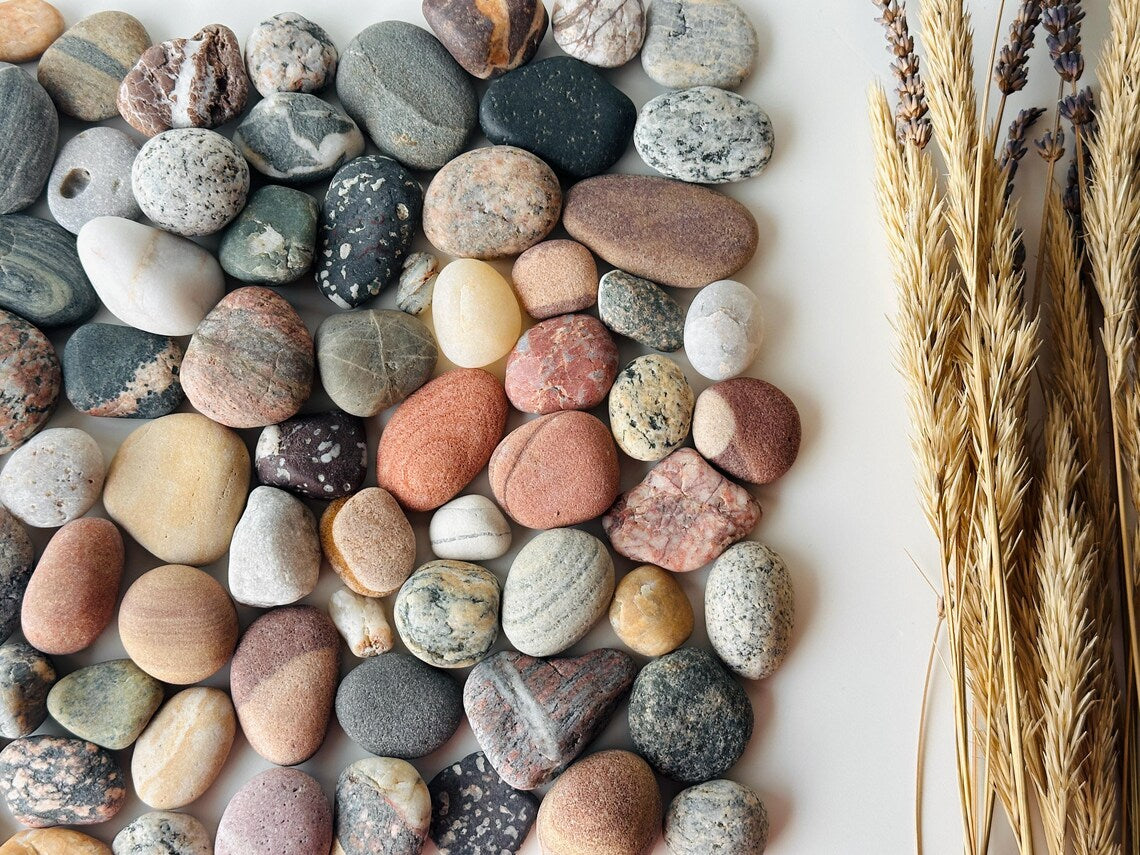 Baltic Collectible Stones – Small Viewing Set