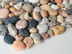 Baltic Collectible Stones – Small Viewing Set