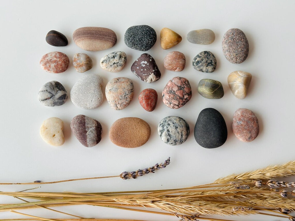Baltic Collectible Stones – Small Viewing Set