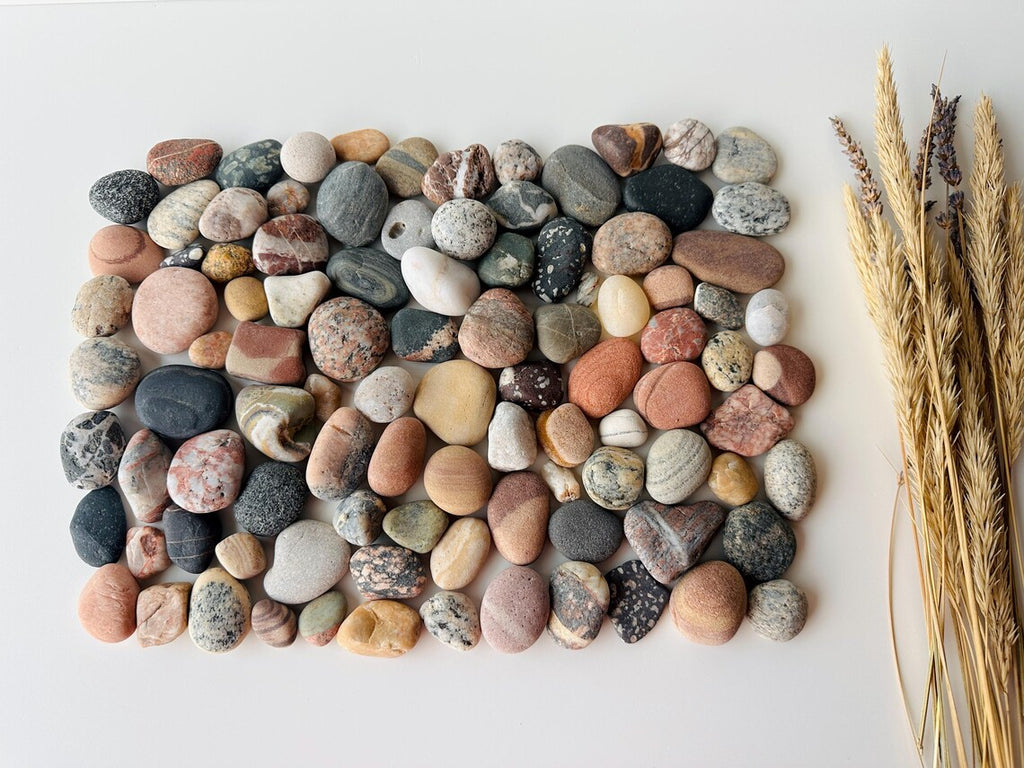 Baltic Collectible Stones – Small Viewing Set