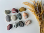 Baltic Suiseki Viewing Stones – Raw Set