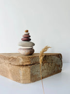 Baltic Shelf Zen Stones – Set of 7