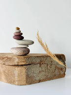 Baltic Shelf Zen Stones – Set of 7