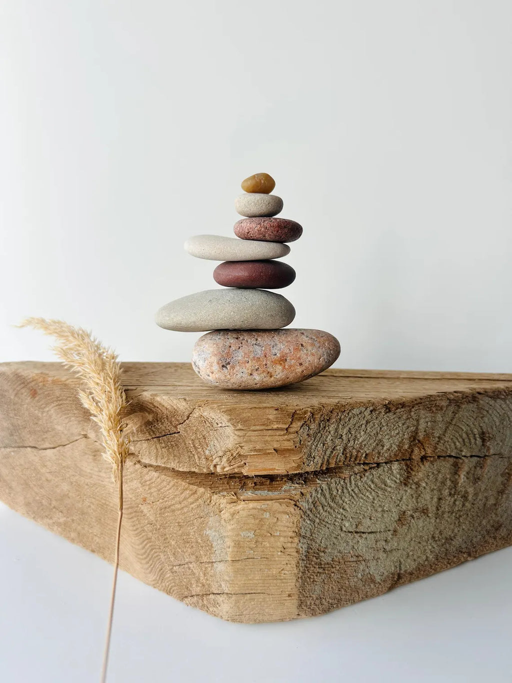 Baltic Shelf Zen Stones – Set of 7