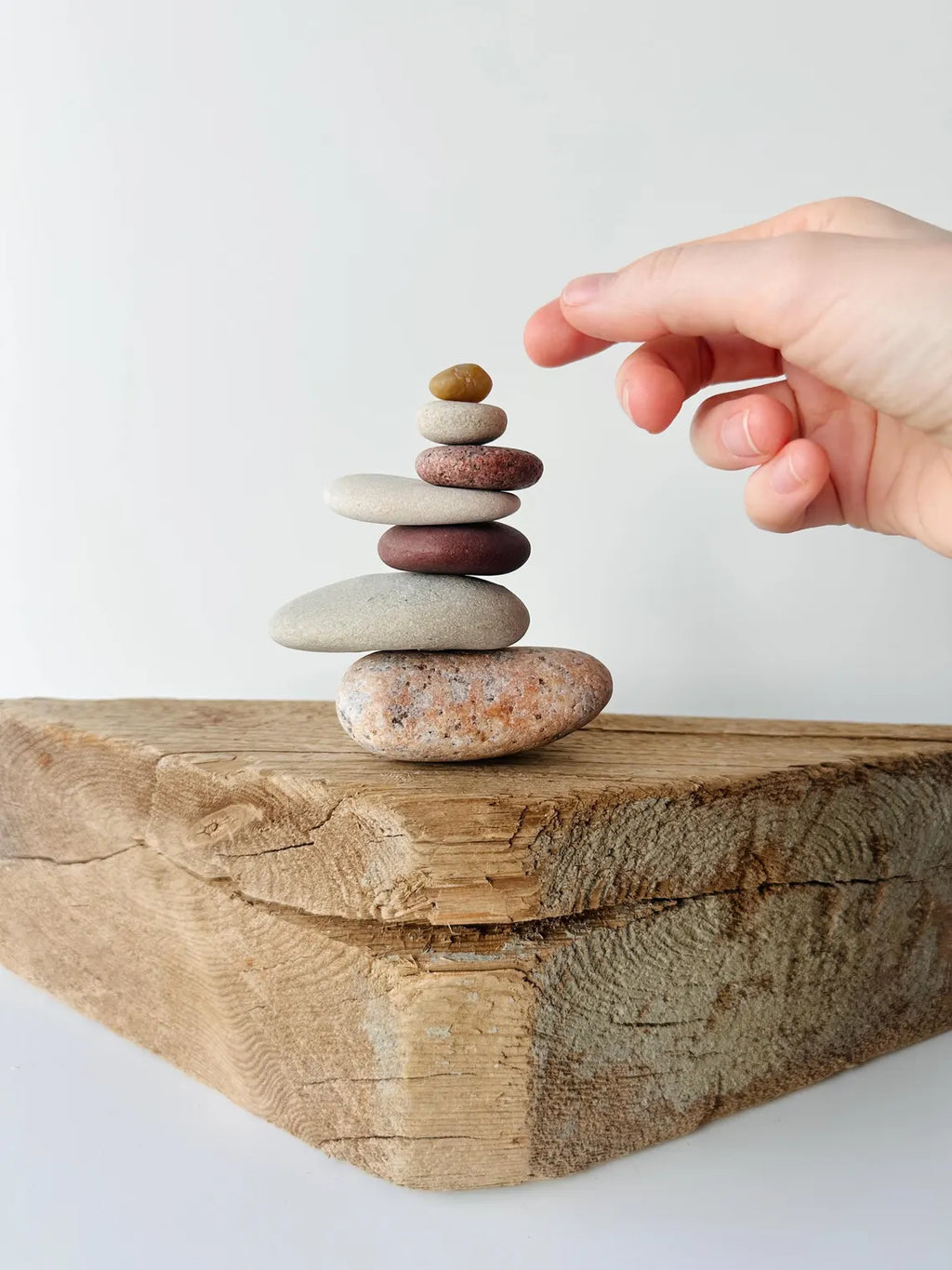 Baltic Shelf Zen Stones – Set of 7