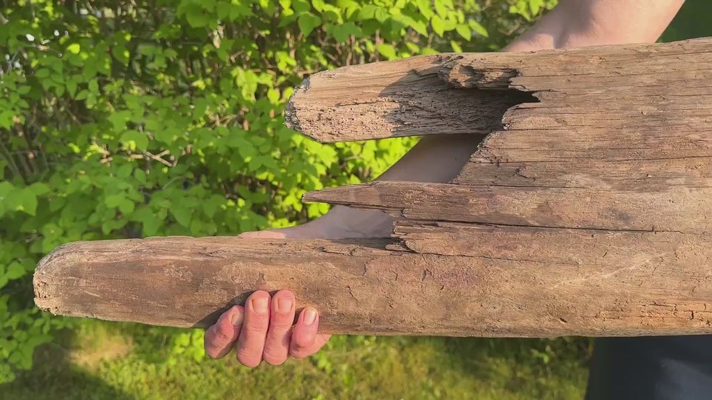 Baltic Driftwood Stump — 130 cm Outdoor Garden Log & Reptile Hide