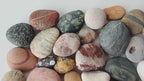 Baltic Collectible Stones – Small Viewing Set