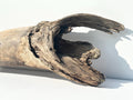 Baltic Driftwood Stump — 130 cm Outdoor Garden Log & Reptile Hide