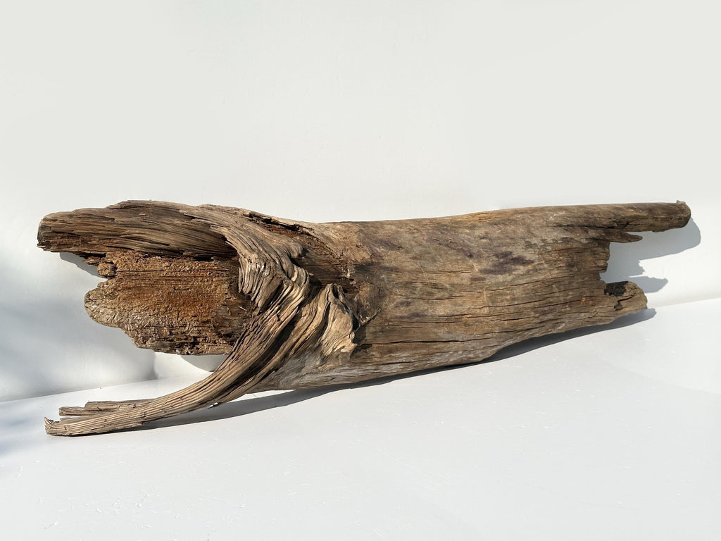 Baltic Driftwood Stump — 130 cm Outdoor Garden Log & Reptile Hide