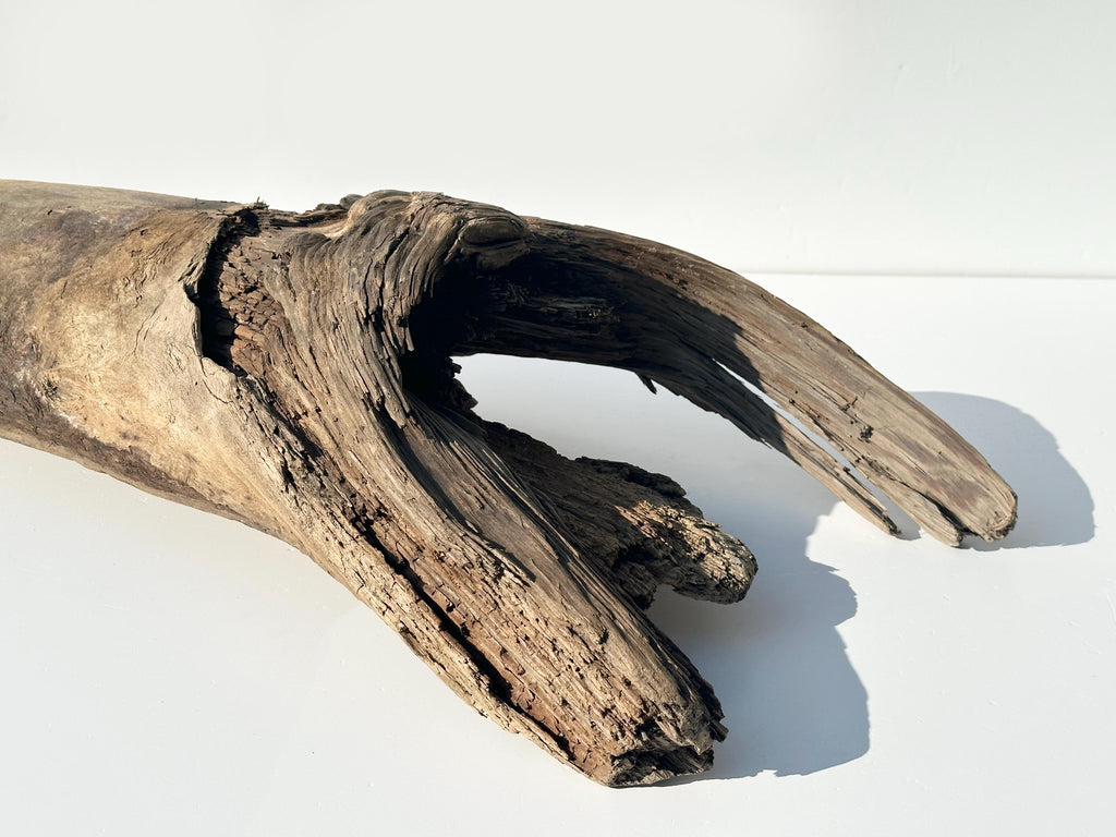 Baltic Driftwood Stump — 130 cm Outdoor Garden Log & Reptile Hide