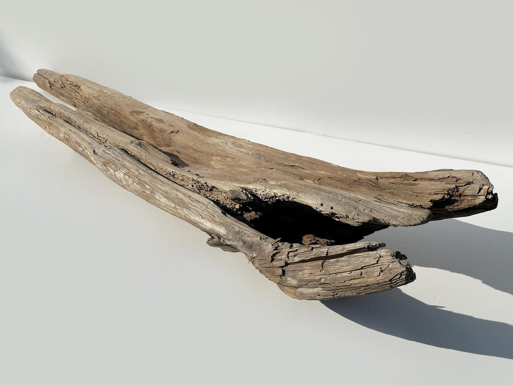 Baltic Driftwood Stump — 130 cm Outdoor Garden Log & Reptile Hide