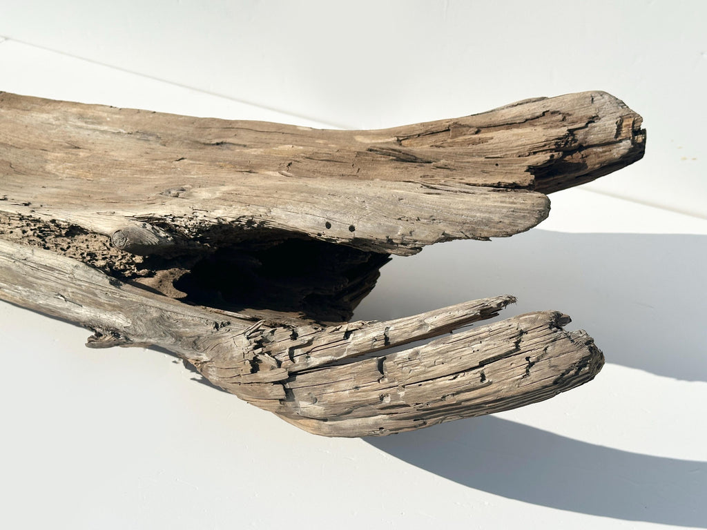 Baltic Driftwood Stump — 130 cm Outdoor Garden Log & Reptile Hide