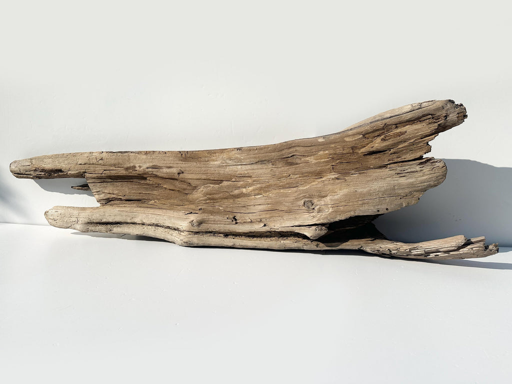 Baltic Driftwood Stump — 130 cm Outdoor Garden Log & Reptile Hide