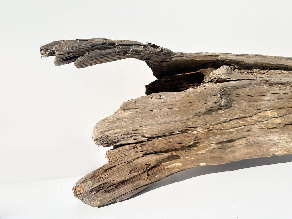 Baltic Driftwood Stump — 130 cm Outdoor Garden Log & Reptile Hide