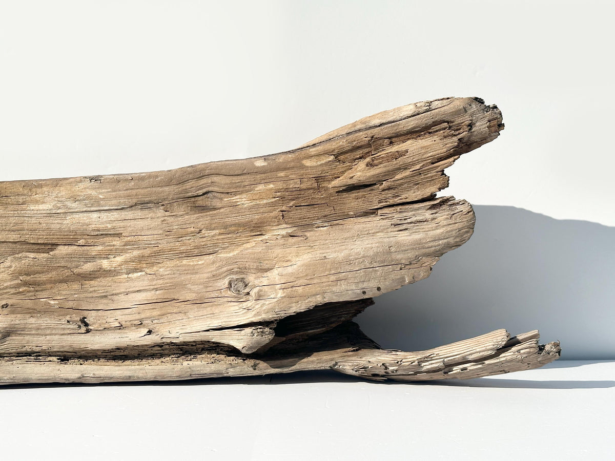 Baltic Driftwood Stump — 130 cm Outdoor Garden Log & Reptile Hide