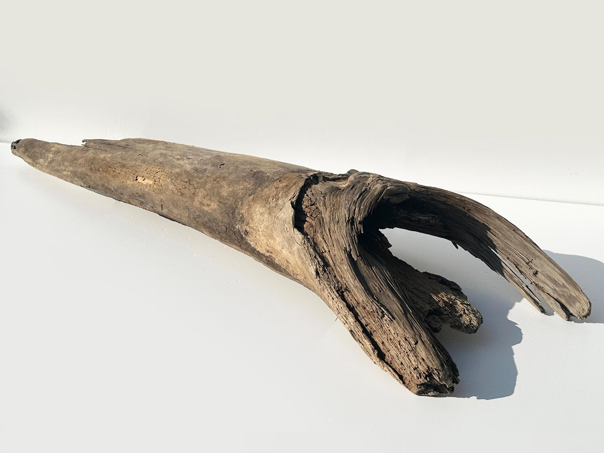 Baltic Driftwood Stump — 130 cm Outdoor Garden Log & Reptile Hide